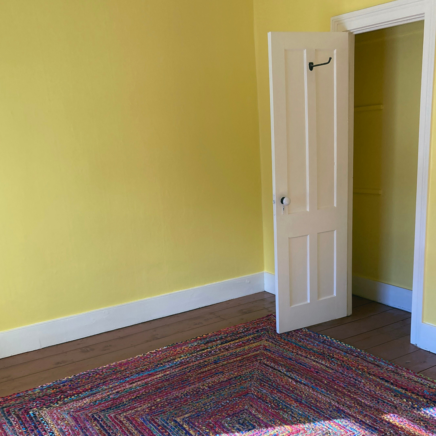Lasher House Apartment