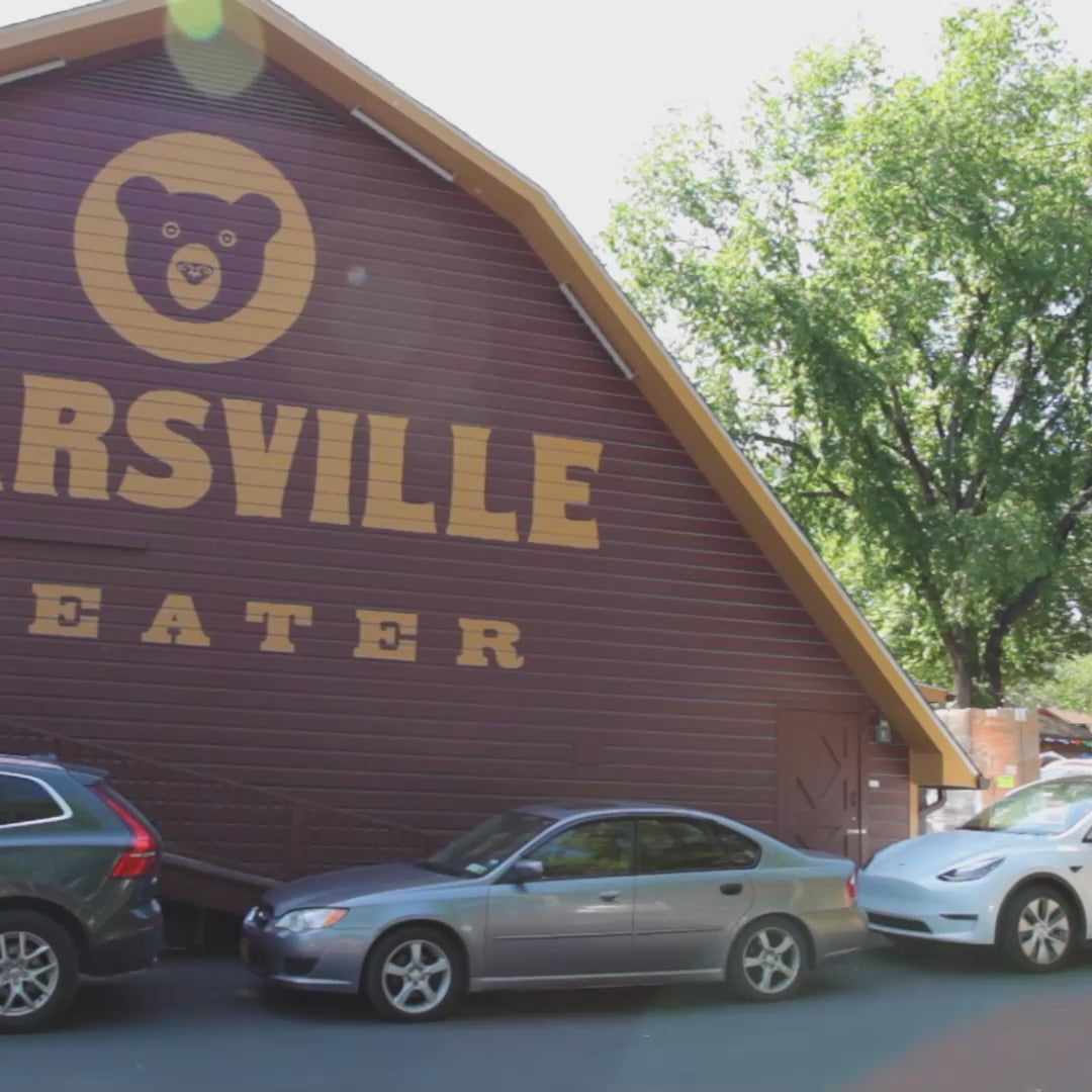 Load video: Experience the joy of Festivals in the beautiful Bearsville Park!